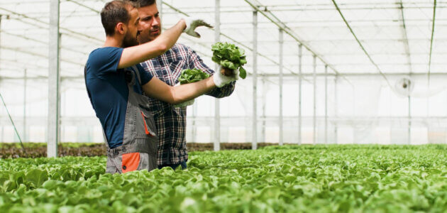 Rolnictwo precyzyjne